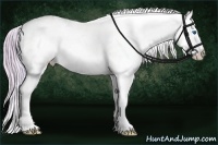 Horse Color:Watercolor Buckskin Splash Varnish 