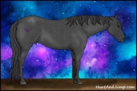Horse Color:Smoky Blue Roan Sabino 