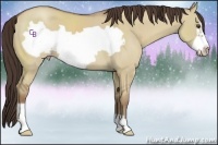 Horse Color:Classic Champagne Dun Frame 