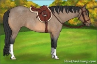 Horse Color:Buckskin Roan 