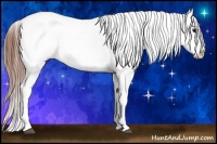 Horse Color:White Spotted Black Splash Tobiano Frame Appaloosa