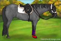 Horse Color:Blue Roan