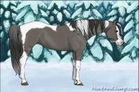 Horse Color:Grullo Sabino Splash Tobiano 