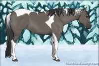 Horse Color:Smoky Grullo Tobiano 