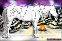 Horse Color:Black Ice Sabino Blanket 