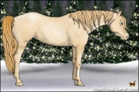 Horse Color:Gold Champagne Pearl 