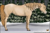 Horse Color:Chestnut Pearl Splash
