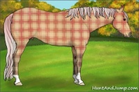 Horse Color:Plaid  Silver Bay 