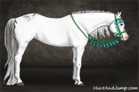 Horse Color:Liver Chestnut Appaloosa