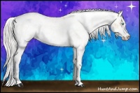 Horse Color:Cremello Sabino and Cremello Sabino
