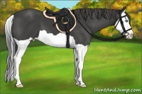 Horse Color:Smoky Black Splash