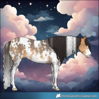 Horse Color:White Spotted Buckskin Sabino 