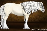 Horse Color:Silver Buckskin Pearl Dun Splash