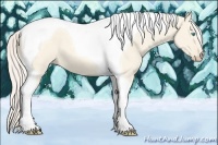 Horse Color:Cremello Dun Tobiano 