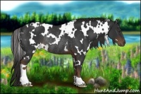 Horse Color:White Spotted Liver Chestnut Rabicano