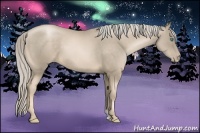 Horse Color:Chocolate Palomino Pearl 