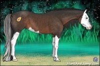 Horse Color:Liver Chestnut Sabino Splash