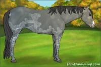 Horse Color:Smoky Black Ice 