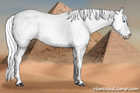 Horse Color:Gray Silver Perlino Roan Dun Tobiano 