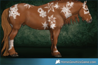Horse Color:Gray Chestnut Ice 