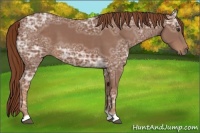 Horse Color:Chestnut Ice 
