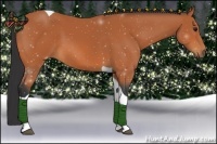 Horse Color:Bay Tobiano 