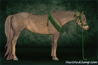 Horse Color:Chocolate Palomino 