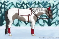 Horse Color:Grullo Tobiano