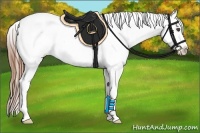 Horse Color:Red Dun Roan Appaloosa