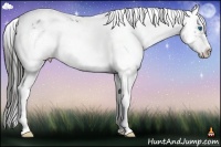 Horse Color:White Spotted Liver Chestnut Splash Frame