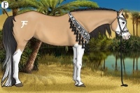 Horse Color:Bay Roan Dun Splash