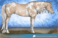Horse Color:White Spotted Chocolate Palomino Pearl 