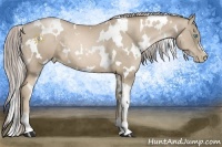 Horse Color:White Spotted Chocolate Palomino Pearl 