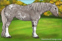 Horse Color:Silver Blue Ice Roan 