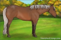 Horse Color:Silver Bay