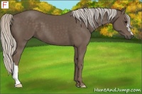 Horse Color:Silver Black 