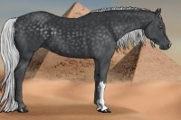 Horse Color:Silver Black Chinchilla 