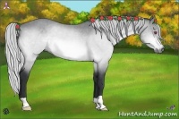 Horse Color:Silver Bay Chinchilla 