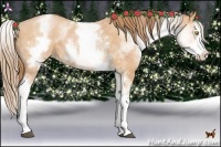 Horse Color:White Spotted Bay Pearl Splash Rabicano 