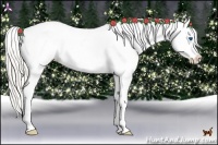 Horse Color:Silver Black Pearl Splash Frame Appaloosa Rabicano 