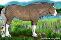 Horse Color:Chocolate Palomino Splash 