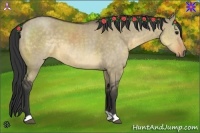 Horse Color:Buckskin Dun 