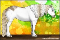 Horse Color:White Spotted Liver Chestnut Splash Frame Rabicano