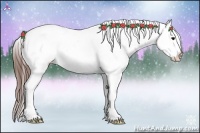 Horse Color:Brown Appaloosa 