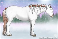 Horse Color:Brown Appaloosa