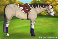 Horse Color:Bay Roan Dun Splash