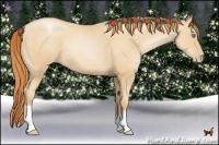 Horse Color:Amber Champagne Pearl