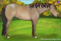 Horse Color:Sable Champagne 