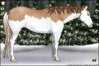 Horse Color:Bay Pearl Splash 