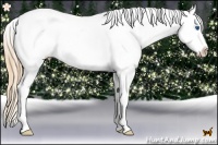 Horse Color:Chestnut Pearl Splash Near Leopard